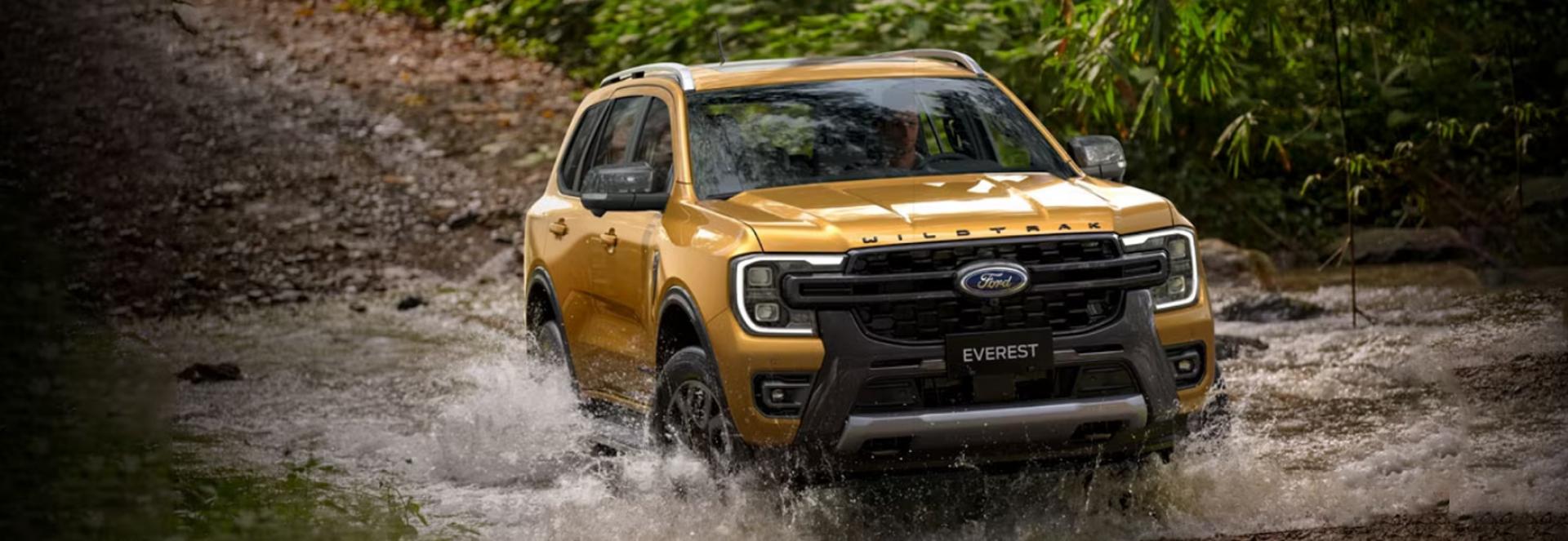 Banner - Ford Everest Wildtrak - 2023